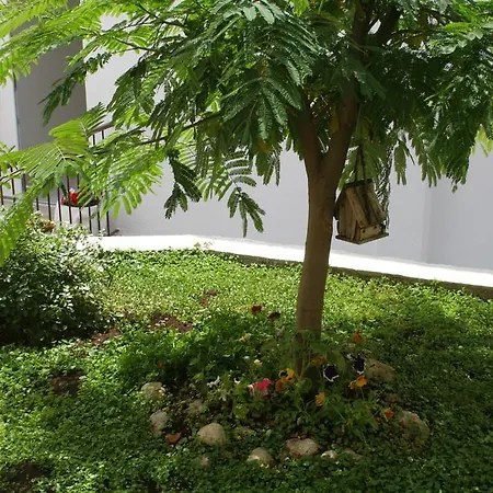 Apartmán Stanici 2763a *